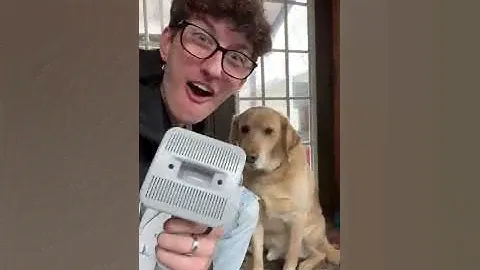 The Best Pet Grooming Vacuum - Oneisall