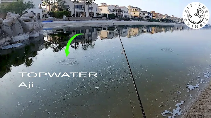 ULTRALIGHT TOPWATER FISHING - WALK THE DOG MINNOWS WITH REAR ASSIST HOOKS