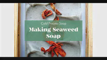 Making Seaweed Cold Process Soap | Natural Soap making