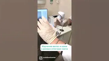 Как увидеть в каком состоянии волосы?