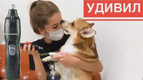 ГРИНДЕР для собак Tenberg Stim Pro / Реакция собак 😂 Мой обзор