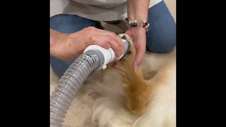 Best vacuum for pet hair 2022 Neabot pet grooming kits