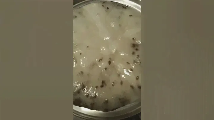 шикарный бальзам для волос из семян льна.