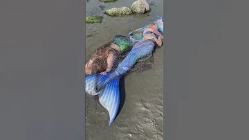 Two Real Mermaids washed up on the beach?! 😨 is one still moving?? #realmermaid