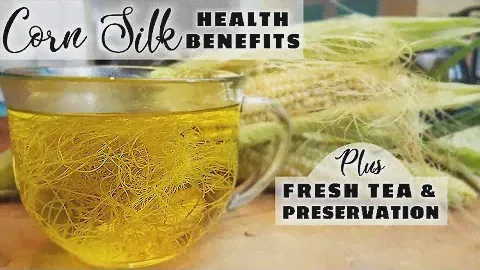 CORN SILK BENEFITS plus CORN SILK TEA &  Long Term Preservation