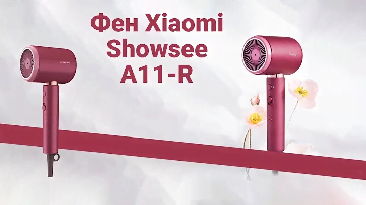 Фен Xiaomi Showsee A11-R