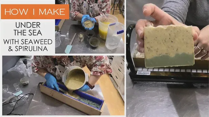 Under the Sea Soap Bar - Using Seaweed powder, Spirulina and kelp