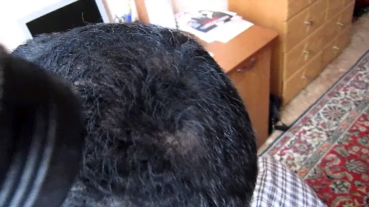 Видео: как наносить  Minox Hair Magic.MOV