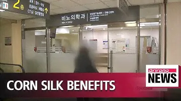 Local scientists find out corn silk helps repair prostate symptoms