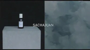 Normal Hair Shampoo by Sachajuan