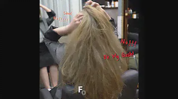 CCLIMGLAM HAIR AND SCALP DOUBLE ACTION SHAMPOO & TREATMENT 끌림글램 샴푸 & 트리트먼트 #두피관리 #탈모완화 #단백질클리닉 #손상모